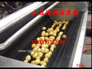 全自動(dòng)土豆去泥清洗機(jī)廠家